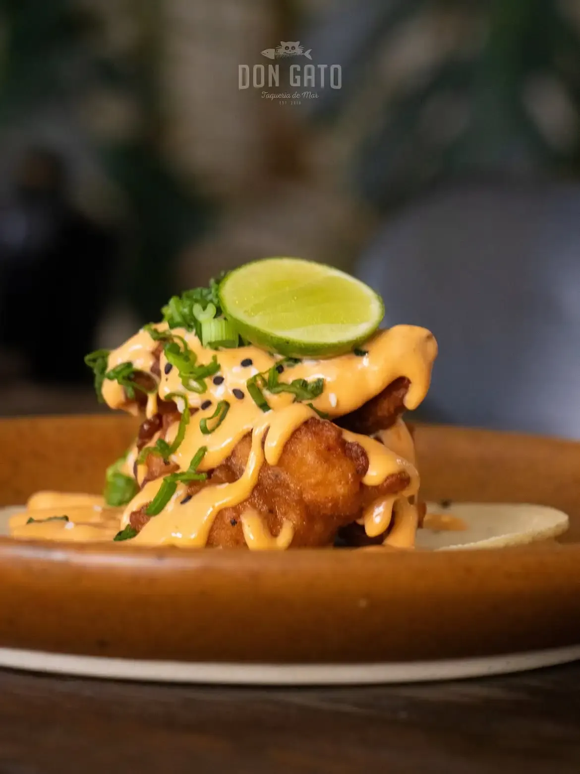 Taco capeado de pescado de Don Gato Topolobampo
